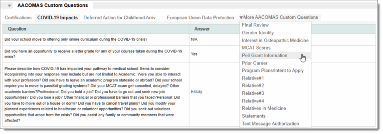 Screenshot of the CAS Custom Questions panel
